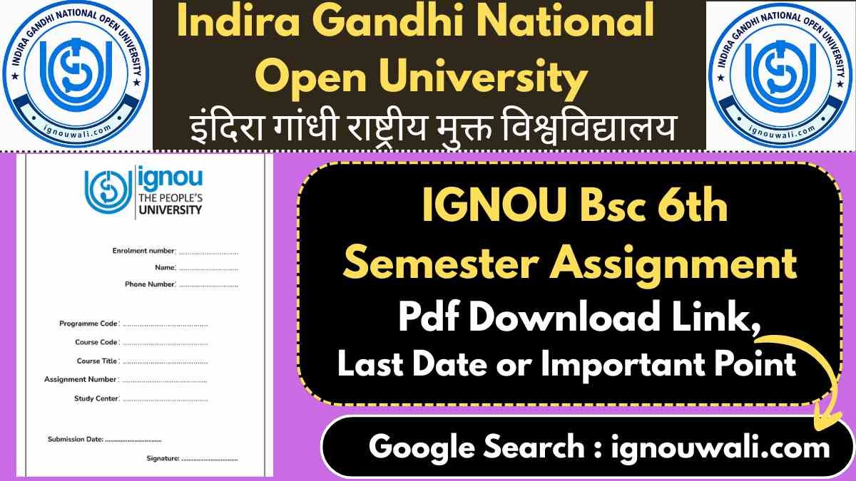 IGNOU BSc 6th Semester Assignment